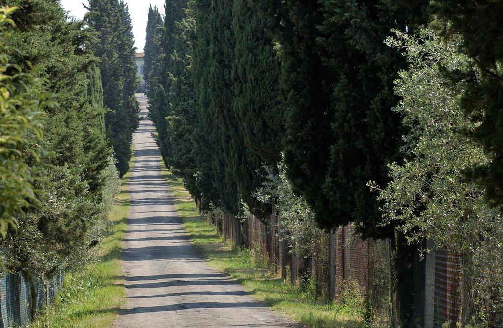 Agriturismo Poggio Arioso Lägenhet Scandicci Exteriör bild